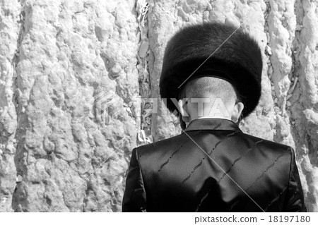 Hasidic Jew Praying at the Wailing Wall, Jerusalem 18197180