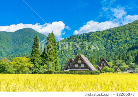 秋天的白川町[稻田別墅] 18200075