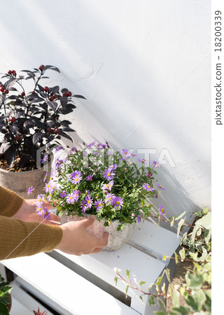 在花園裡...... 18200339