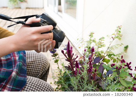 在花園裡...... 18200340