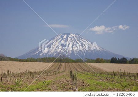 羊蹄山 羊蹄山 18200400