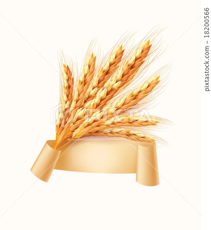 Ears of wheat. Vector illustration. Ears of wheat. Vector illustration. 18200566