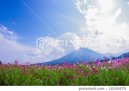 Ikoma plateau in autumn ⑤ Ikoma plateau in autumn ⑤ 18200879