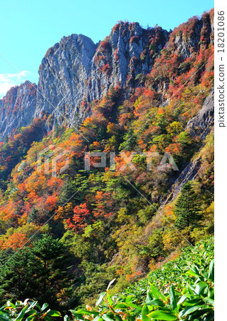 Autumn leaves on the northern wall of Ishizukayama Autumn leaves on the northern wall of Ishizukayama 18201086