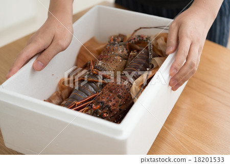 蝦伊勢 蝦伊勢 18201533