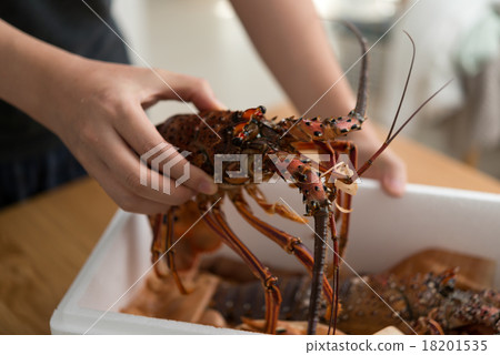 Shrimp Ise 18201535