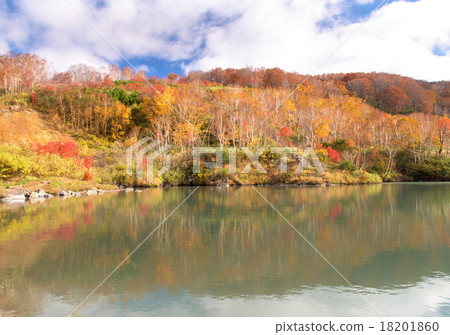 酸沐浴溫泉秋葉 18201860
