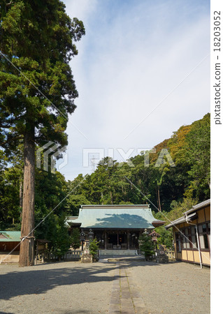 在Nagomiya Sagami，神社和神木（神奈川縣）的川川神社 18203052