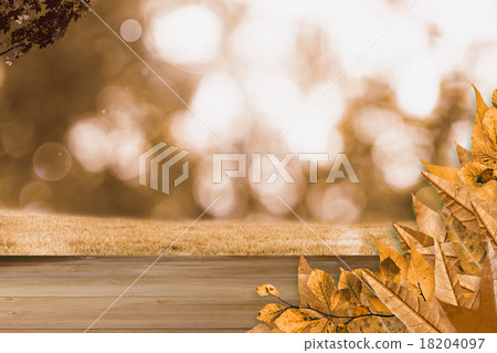 Composite image of autumn leaves pattern Composite image of autumn leaves pattern 18204097