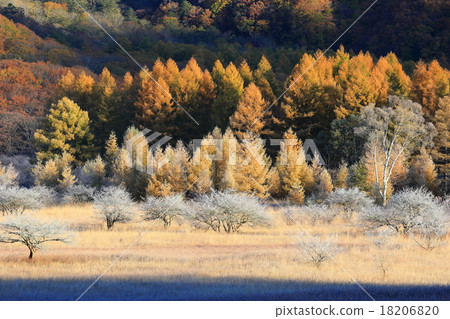 Odashiro is Hara Odashiro is Hara 18206820