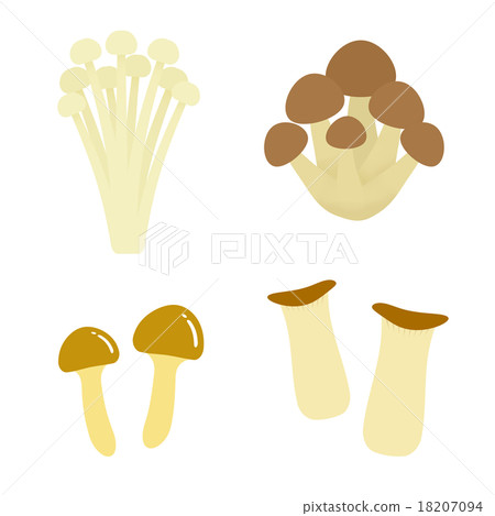 各種蘑菇 各種蘑菇 18207094
