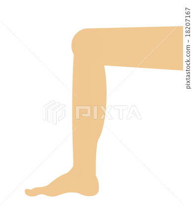 leg 18207167