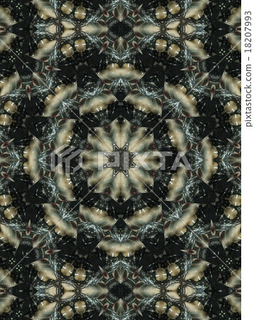 Brown Ethnic pattern. Abstract kaleidoscope 18207993