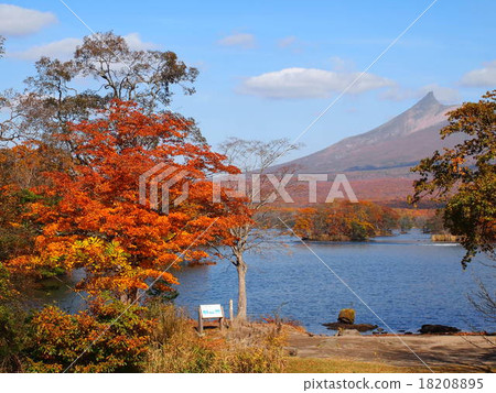 落在北海道 落在北海道 18208895
