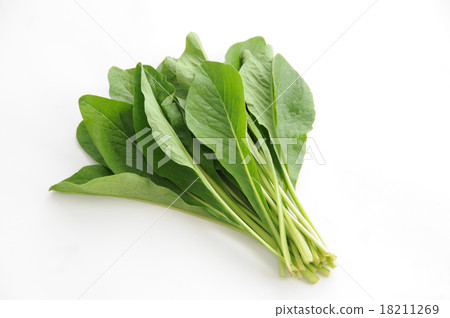 Nikana (Nanaa) Nikana (Nanaa) 18211269