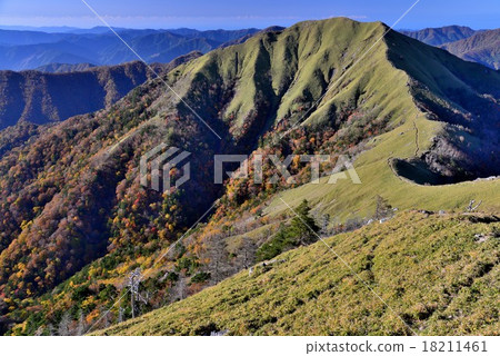 秋葉Jirau-kuu和白色吠聲森林2 18211461