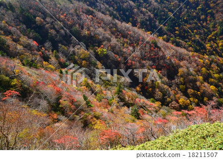 秋葉次郎Kage Pass 2（德島縣次郎Kage Pass） 18211507