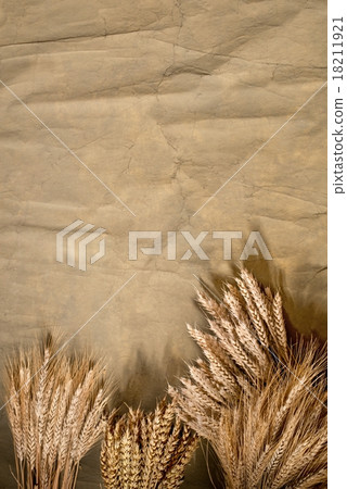background with wheat and barley 18211921