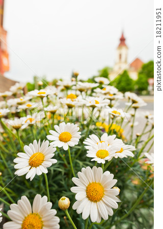 flowers in front of florist's shop flowers in front of florist's shop 18211951