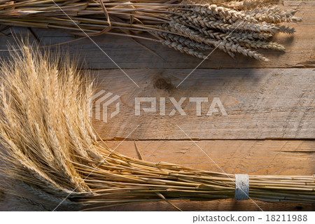 barley and wheat 18211988