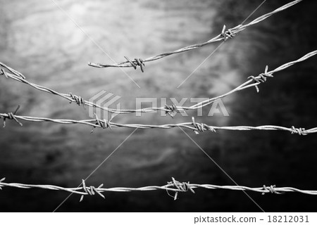 barbed wire fence 18212031