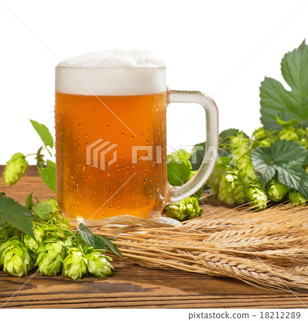 beer glass with hops and barley 18212289