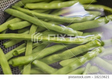 芸豆 芸豆 18213621