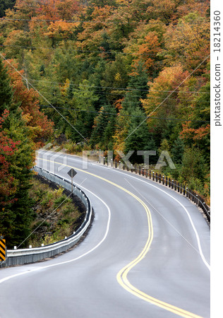 Algonquin Park Muskoka Ontario Road 18214360