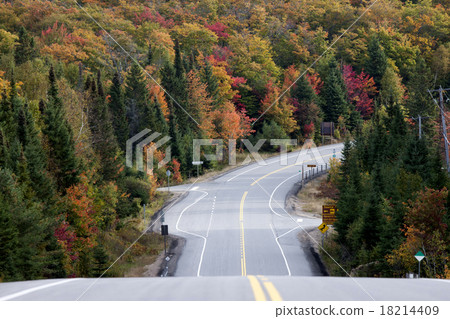 Algonquin Park Muskoka Ontario Road 18214409
