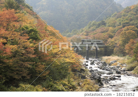 Yamada Line 18215852