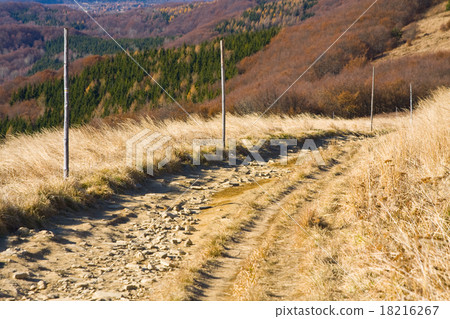 Autumn mountain in Bieszczady, Poland 18216267