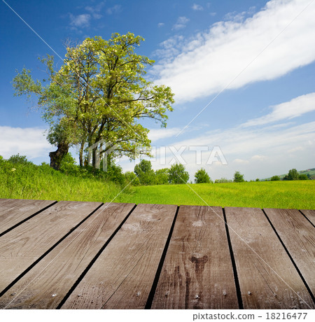empty wooden deck table in the park. empty wooden deck table in the park. 18216477