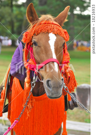 節日裝飾馬 節日裝飾馬 18216933