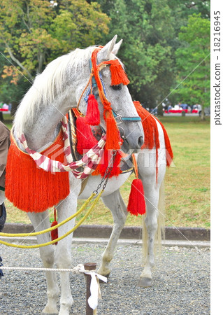 Festival Decorative Horse Stock Photo 18216945 Pixta