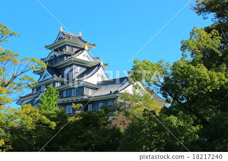 Okayama Castle Okayama Castle 18217240