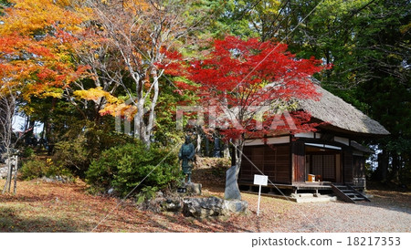 Haiku Kobayashi Issa Haikido和Maple 18217353