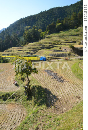 邵水稻梯田 18218151