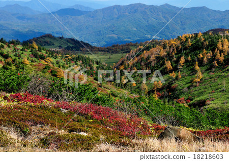 群馬縣Joshinetsu高地國家公園秋天草津Shiraneyama秋葉 18218603
