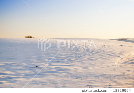 snow-covered field   18219994