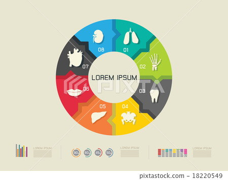 vector illustration of colorful circle vector illustration of colorful circle 18220549