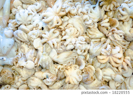 small octopuses in a fish shope, background 18220555