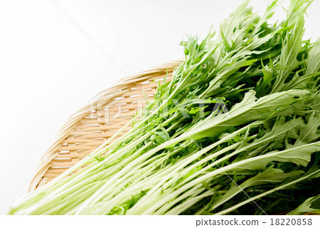 Mizuna Mizuna 18220858