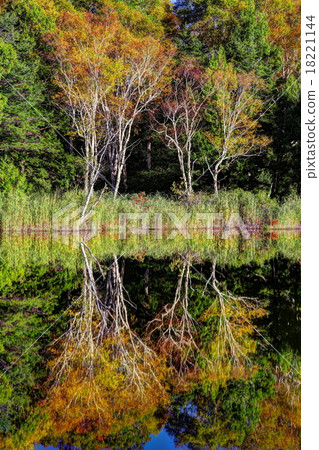 Kii門池塘在早期的秋天 18221144