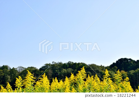 Autumn field image 18221244