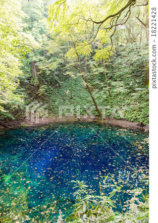 Aoike Aoike 18221428