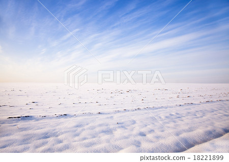 snow-covered field   18221899