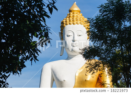 Buddha statues at Wat Doi Kham 18221973