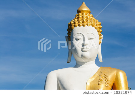Buddha statues at Wat Doi Kham 18221974