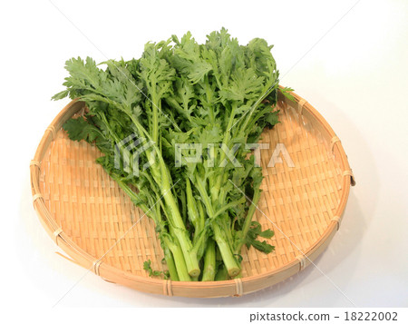 食用菊花 食用菊花 18222002