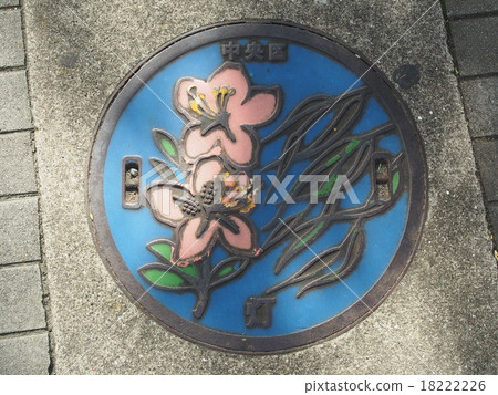 manhole drain cover in Tsukiji, Japan. 18222226